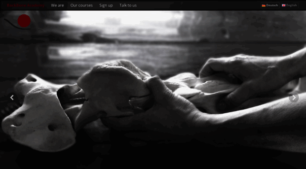 backbone-academy.com