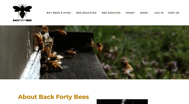 backfortybees.com