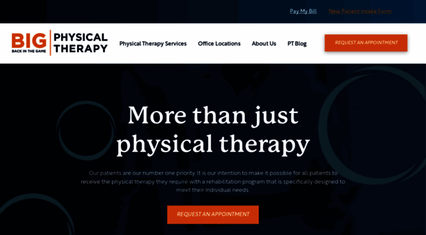 backinthegamephysicaltherapy.com
