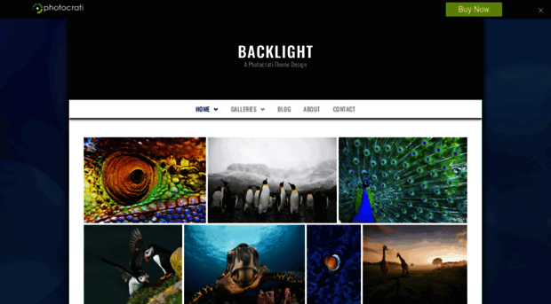 backlightblue.photocrati.com