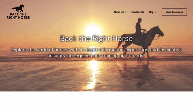 backtherighthorse.com