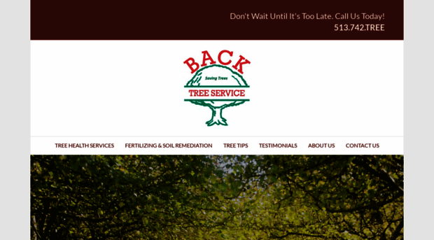 backtree.com