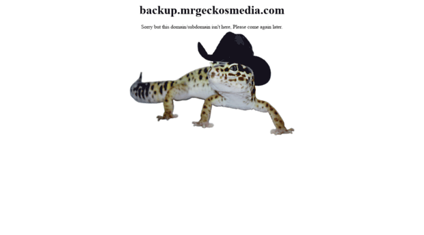 backup.mrgeckosmedia.com