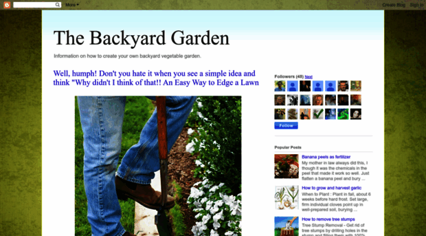 backyard-garden-101.blogspot.com