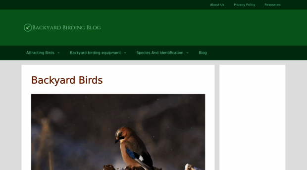 backyardbirdingblog.com