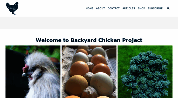 backyardchickenproject.com