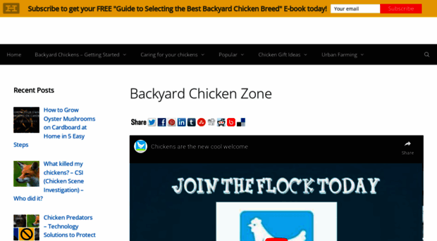 backyardchickenzone.com