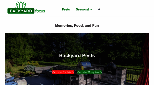 backyardfocus.com