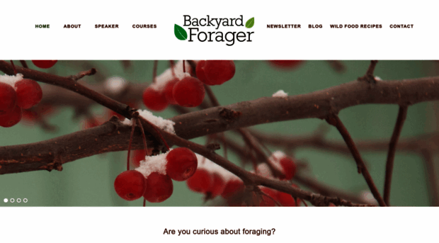 backyardforager.com