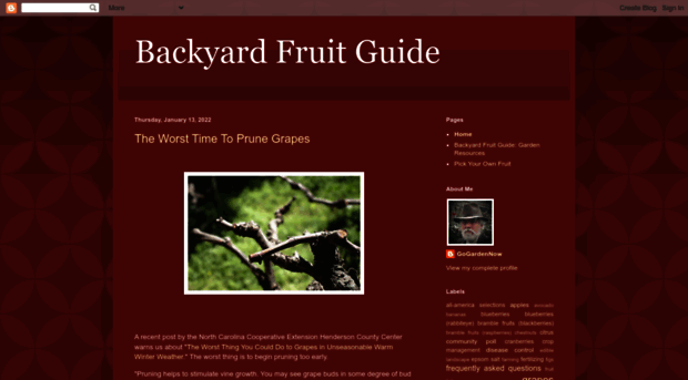 backyardfruitguide.blogspot.com