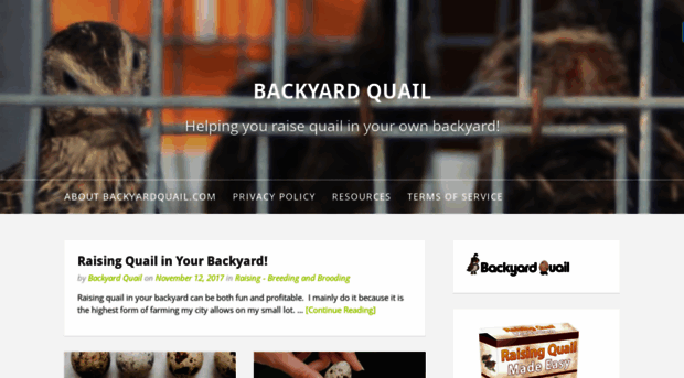 backyardquail.com