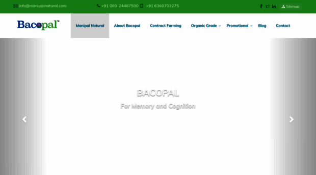 bacopal.com