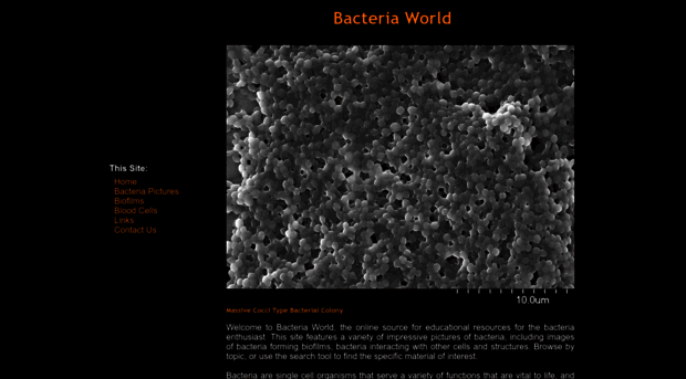 bacteria-world.com