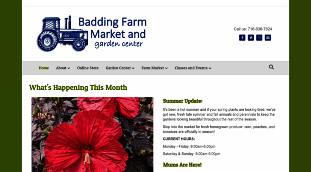 baddingbrosfarm.com