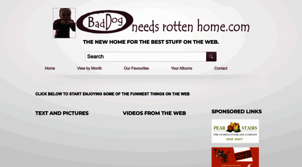 baddogneedsrottenhome.com