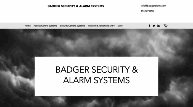 badgersecuritysystems.com