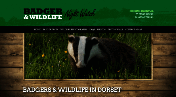 badgerwatchdorset.co.uk