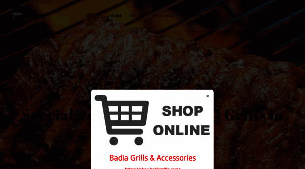 badiagrills.com
