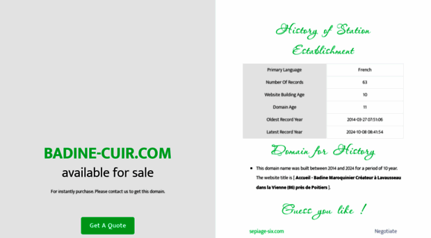 badine-cuir.com