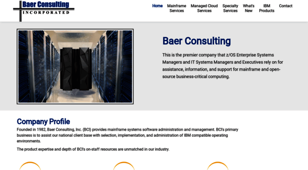 baer-consulting.com