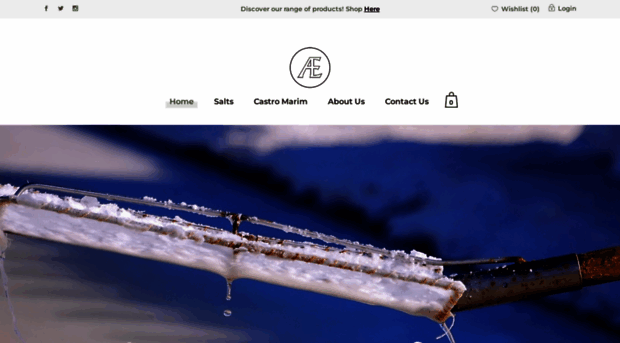 baesuris.com