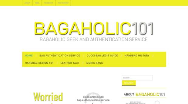 bagaholic101.com