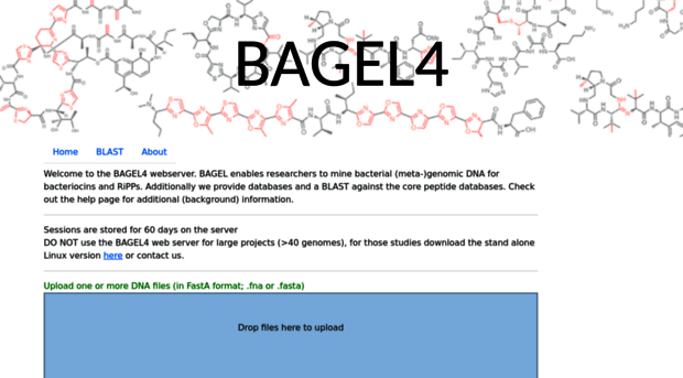 bagel4.molgenrug.nl