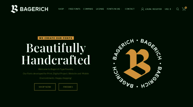 bagerich.com