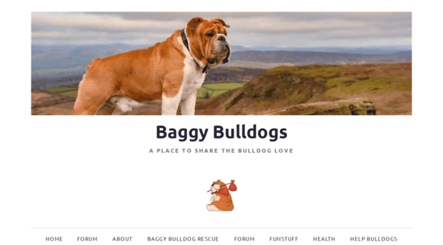 baggybulldogs.wordpress.com
