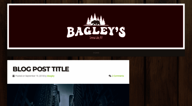 bagleysprv.com