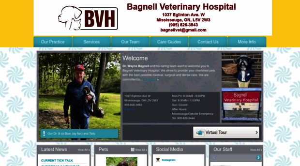 bagnellveterinaryhospital.com