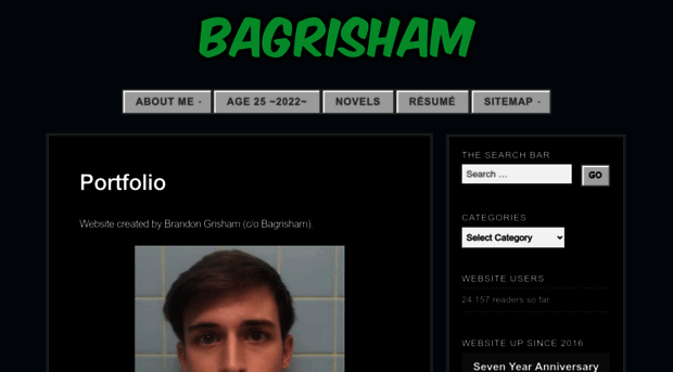 bagrisham.com