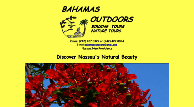 bahamasoutdoors.com