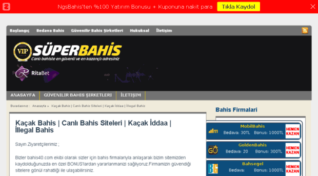 bahistekazanmak.com