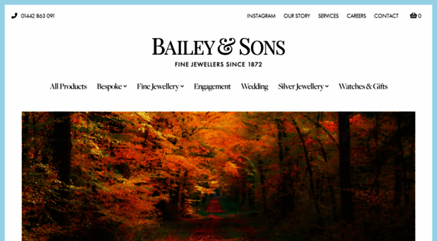 baileyandsons.co.uk