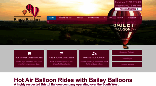 baileyballoons.co.uk