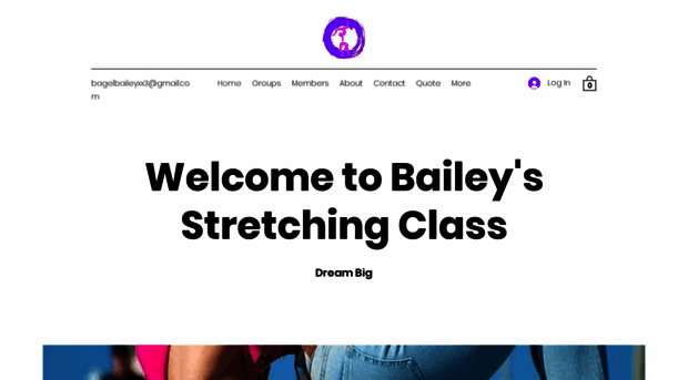 baileypriceclass.com