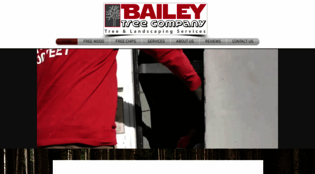 baileytreeco.com