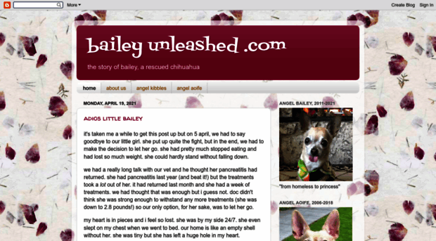 baileyunleashed.com