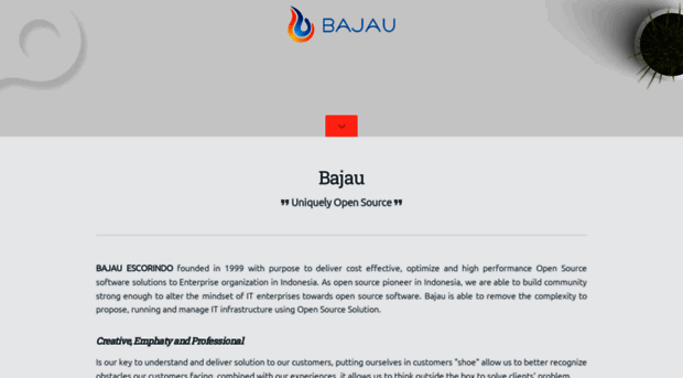 bajau.com