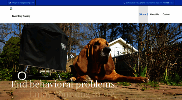 bakerdogtraining.com