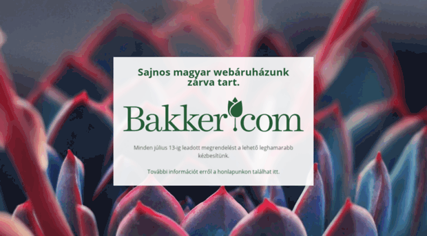 bakker-hu.com