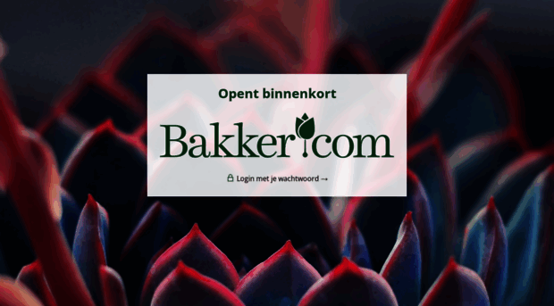 bakker-it.com