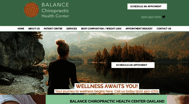 balancechiropracticoakland.com