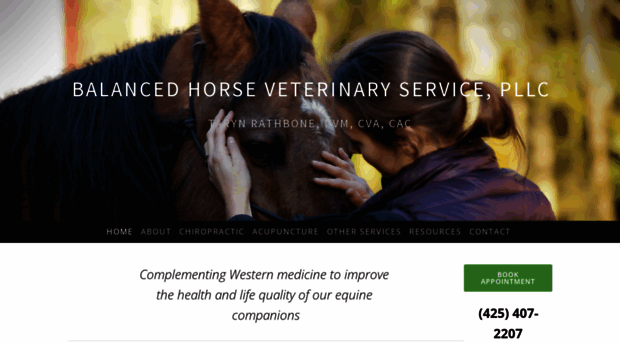 balancedhorsevet.com