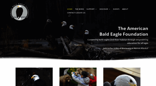 baldeagles.org