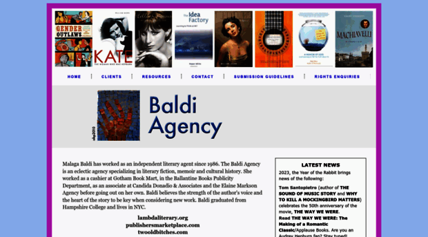 baldibooks.com