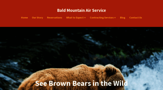 baldmountainair.com