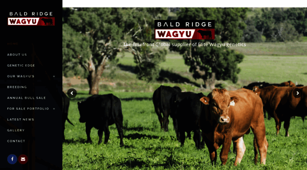 baldridgecattle.com.au