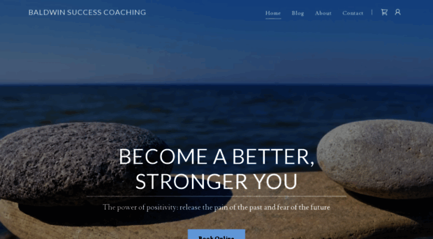 baldwinsuccesscoaching.com